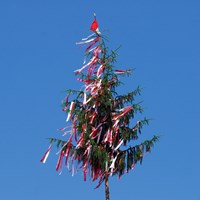 64 Kirchweihen gibt es im Landkreis Erlangen-Höchstadt. Wo und wann der Kirchweihbaum steht, zeigt der Kirchweihkalender im Überblick. Foto: Bernd Böhner.