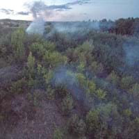Waldbrandgefahr Foto: KFV ERH